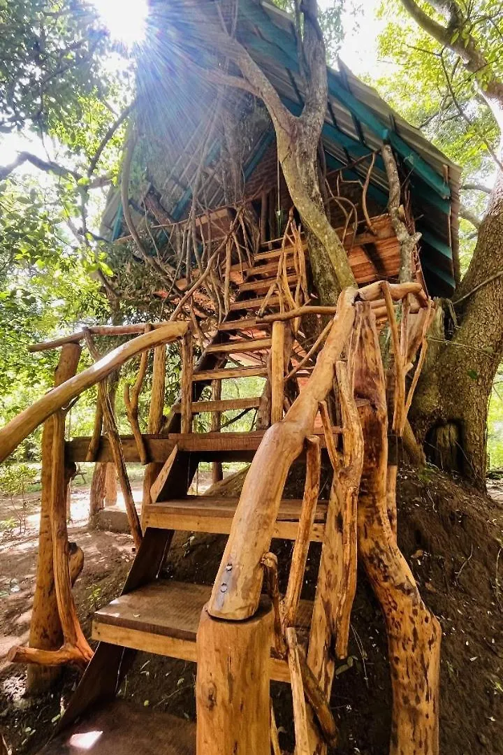 Ali Adi Eco Lodge Sigiriya