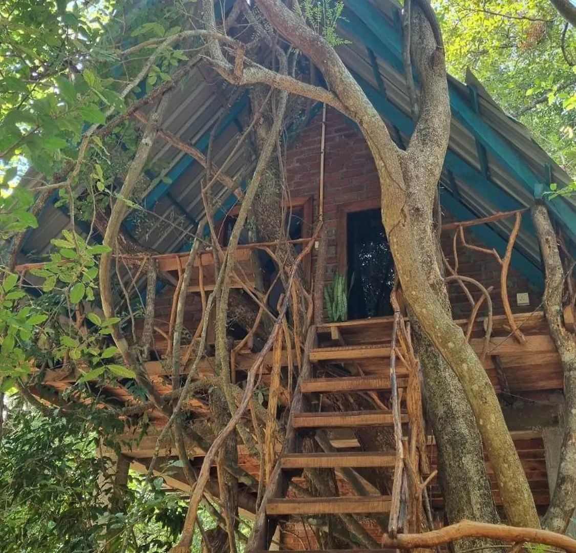 Ali Adi Eco Lodge Sigiriya 0*,  Sri Lanka
