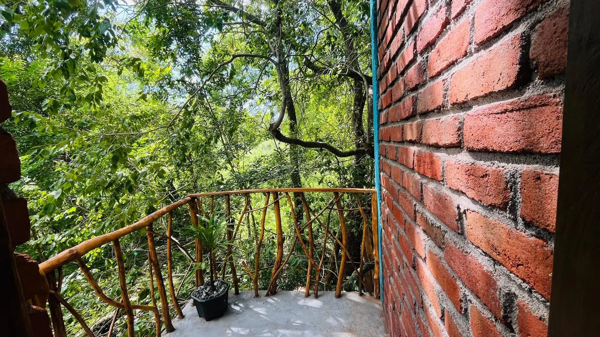 Ali Adi Eco Lodge Sigiriya Sri Lanka