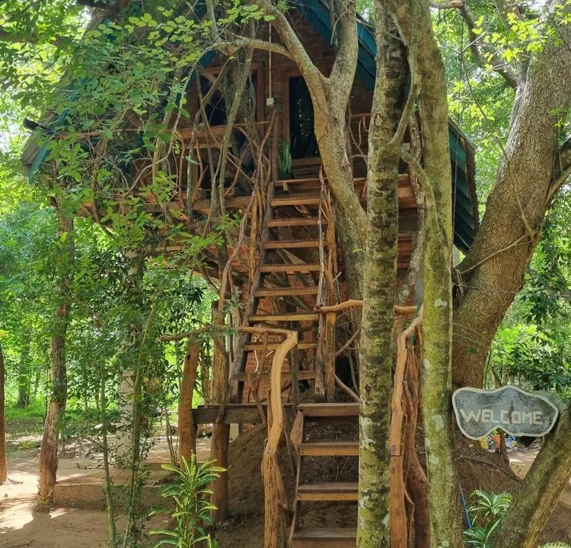 Ali Adi Eco Lodge Sigiriya